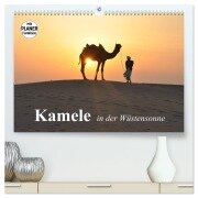 Kamele in der Wüstensonne (hochwertiger Premium Wandkalender 2025 DIN A2 quer), Kunstdruck in Hochglanz - Elisabeth Stanzer