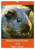 Meerschweinchen und Kaninchen Familienplaner (Wandkalender 2024 DIN A3 hoch), CALVENDO Monatskalender - Kattobello Kattobello