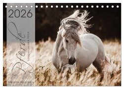 Spiegel deiner Seele (Tischkalender 2026 DIN A5 quer), CALVENDO Monatskalender - Sabrina Mischnik