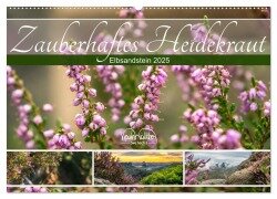 Zauberhaftes Heidekraut - Elbsandstein (Wandkalender 2025 DIN A2 quer), CALVENDO Monatskalender - Kevin Walther