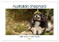 Australian Shepherd - volle Power mit dem Aussie (Wandkalender 2024 DIN A2 quer), CALVENDO Monatskalender - Andrea Mayer Tierfotografie