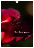 Gartenrosen (Wandkalender 2024 DIN A4 hoch), CALVENDO Monatskalender - Erwin Renken