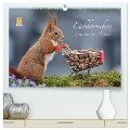 Eichhörnchen Luna und ihre Kinder (hochwertiger Premium Wandkalender 2024 DIN A2 quer), Kunstdruck in Hochglanz - Tine Meier