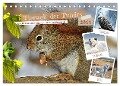 Tierwelt der Tundra (Tischkalender 2024 DIN A5 quer), CALVENDO Monatskalender - Claudia Kleemann