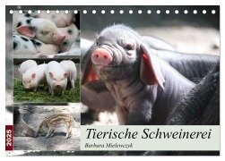 Tierische Schweinerei (Tischkalender 2025 DIN A5 quer), CALVENDO Monatskalender - Barbara Mielewczyk