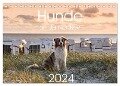 Hunde an der Nordsee (Tischkalender 2024 DIN A5 quer), CALVENDO Monatskalender - Heidi Bollich