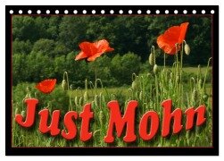 Cover-Bild zum Titel 'Just Mohn (Tischkalender 2026 DIN A5 quer), CALVENDO Monatskalender' von 'Flori Flori0'
