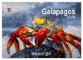 Galapagos 2024 tierisch gut (Wandkalender 2024 DIN A2 quer), CALVENDO Monatskalender - Uwe Bergwitz