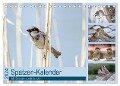 Spatzen-Kalender (Tischkalender 2024 DIN A5 quer), CALVENDO Monatskalender - Marianne Drews
