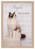 Ragdolls zum Verlieben (Tischkalender 2025 DIN A5 hoch), CALVENDO Monatskalender - Marion Reiß-Seibert