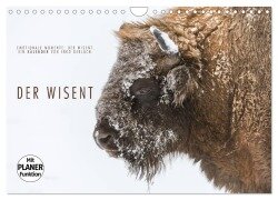 Emotionale Momente: Der Wisent. (Wandkalender 2025 DIN A4 quer), CALVENDO Monatskalender - Ingo Gerlach