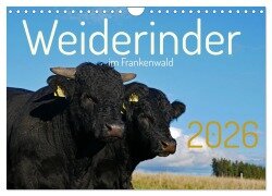 Weiderinder im Frankenwald (Wandkalender 2026 DIN A4 quer), CALVENDO Monatskalender - Cordula Kelle-Dingel