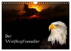 Der Weißkopfseeadler (Wandkalender 2025 DIN A4 quer), CALVENDO Monatskalender - Arno Klatt