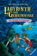Cover-Bild zum Titel 'Labyrinth der Geheimnisse, Band 6 - Taucher im Teufelssee' von 'Matthias von Bornstädt'
