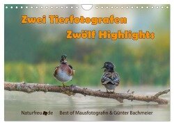 Zwei Tierfotografen Zwölf Highlights (Wandkalender 2026 DIN A4 quer), CALVENDO Monatskalender - Jennifer Hetzel & Günter Bachmeier