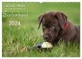 Labrador Welpe ¿ Seelenhund (Wandkalender 2024 DIN A2 quer), CALVENDO Monatskalender - Petra Schiller