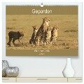 Geparden - Ein Leben in Afrika (hochwertiger Premium Wandkalender 2024 DIN A2 quer), Kunstdruck in Hochglanz - Michael Herzog