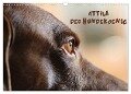 Attila, Der Hundekönig (Wandkalender 2024 DIN A3 quer), CALVENDO Monatskalender - Heike Hultsch