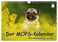 Der MOPS-Kalender (Wandkalender 2024 DIN A4 quer), CALVENDO Monatskalender - Kathrin Köntopp