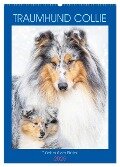 Traumhund Collie - Glück auf vier Pfoten (Wandkalender 2025 DIN A2 hoch), CALVENDO Monatskalender - Sigrid Starick