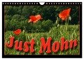 Just Mohn (Wandkalender 2024 DIN A4 quer), CALVENDO Monatskalender - Flori Flori0