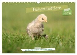 Bauernhoftiere - Von Klein bis Groß, mit Fell und mit Federn. (Wandkalender 2025 DIN A3 quer), CALVENDO Monatskalender - Angela Merk