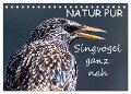NATUR PUR - Singvögel ganz nah (Tischkalender 2024 DIN A5 quer), CALVENDO Monatskalender - Karin Dietzel