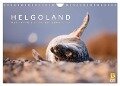 Helgoland - Das Leben auf der Düne Helgolands (Wandkalender 2024 DIN A4 quer), CALVENDO Monatskalender - Lain Jackson
