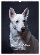 Treue Wegbegleiter, Hunde im Portrait. (Wandkalender 2026 DIN A2 hoch), CALVENDO Monatskalender - Susanne Stark