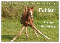 Cover-Bild zum Titel 'Fohlen - Lustige Pferdekinder (Tischkalender 2026 DIN A5 quer), CALVENDO Monatskalender' von 'Meike Bölts'