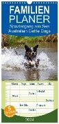 Familienplaner 2024 - Spaziergang am See Australian Cattle Dogs mit 5 Spalten (Wandkalender, 21 x 45 cm) CALVENDO - Fotodesign Verena Scholze