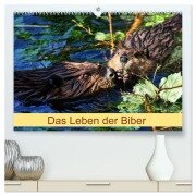 Das Leben der Biber (hochwertiger Premium Wandkalender 2026 DIN A2 quer), Kunstdruck in Hochglanz - Kattobello Kattobello