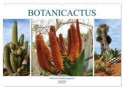BOTANICACTUS Mallorcas Kakteengarten (Wandkalender 2025 DIN A2 quer), CALVENDO Monatskalender - Gisela Kruse