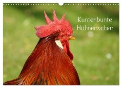 Kunterbunte Hühnerschar (Wandkalender 2025 DIN A3 quer), CALVENDO Monatskalender - Kattobello Kattobello