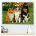 Sheltie 2024 (hochwertiger Premium Wandkalender 2024 DIN A2 quer), Kunstdruck in Hochglanz - Sigrid Starick