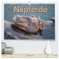 Nilpferde, Kolosse im Wasser (hochwertiger Premium Wandkalender 2025 DIN A2 quer), Kunstdruck in Hochglanz - Robert und Andrea Styppa