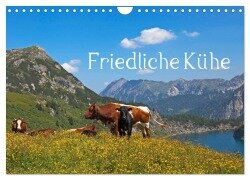 Friedliche Kühe (Wandkalender 2025 DIN A4 quer), CALVENDO Monatskalender - Christa Kramer