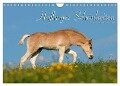 Haflinger Schönheiten (Wandkalender 2024 DIN A4 quer), CALVENDO Monatskalender - Ramona Dünisch - Www. Ramona-Duenisch. De
