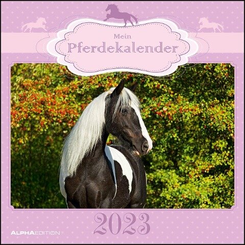 Mein Pferdekalender 2023 - Broschürenkalender 30x30 cm - 