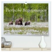 Cover-Bild zum Titel 'Tierische Begegnungen (hochwertiger Premium Wandkalender 2026 DIN A2 quer), Kunstdruck in Hochglanz' von 'Daniela Beyer (Moqui)'