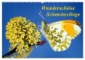 Wunderschöne Schmetterlinge (Wandkalender 2024 DIN A2 quer), CALVENDO Monatskalender - Lothar Reupert
