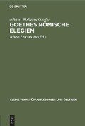 Goethes römische Elegien - Johann Wolfgang Goethe