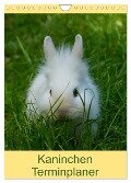 Kaninchen Terminplaner (Wandkalender 2024 DIN A4 hoch), CALVENDO Monatskalender - Kattobello Kattobello
