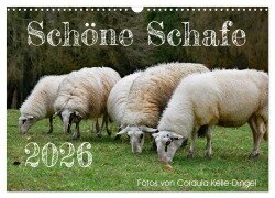 Schöne Schafe (Wandkalender 2026 DIN A3 quer), CALVENDO Monatskalender - Cordula Kelle-Dingel