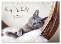 Katzen 2024 (Tischkalender 2024 DIN A5 quer), CALVENDO Monatskalender - Nailia Schwarz