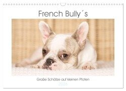 French Bully¿s - Große Schätze auf kleinen Pfoten (Wandkalender 2026 DIN A3 quer), CALVENDO Monatskalender - Susanne Stark Sugarsweet - Photo