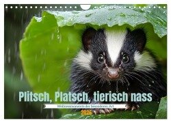 Plitsch, Platsch, tierisch nass (Wandkalender 2026 DIN A4 quer), CALVENDO Monatskalender - Daniela Tapper