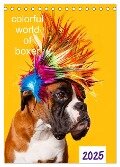 colorful world of boxer 2025 (Tischkalender 2025 DIN A5 hoch), CALVENDO Monatskalender - Kerstin Mielke