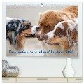 Australian Shepherd 2025 (hochwertiger Premium Wandkalender 2025 DIN A2 quer), Kunstdruck in Hochglanz - Annett Mirsberger