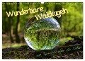 Wunderbare Waldkugeln (Wandkalender 2024 DIN A3 quer), CALVENDO Monatskalender - Ilona Stark-Hahn